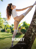 Monkey : Irene Rouse from Watch 4 Beauty, 05 Nov 2019